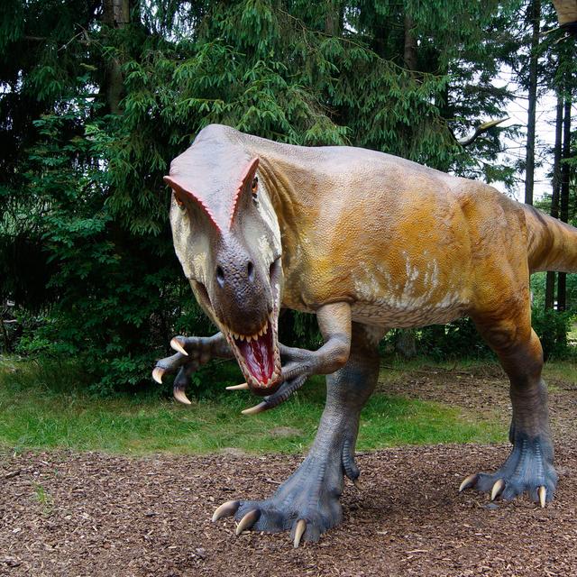 Ceratosaurus carnivore bipède d’Amérique du Nord vivant au Jurassique supérieur