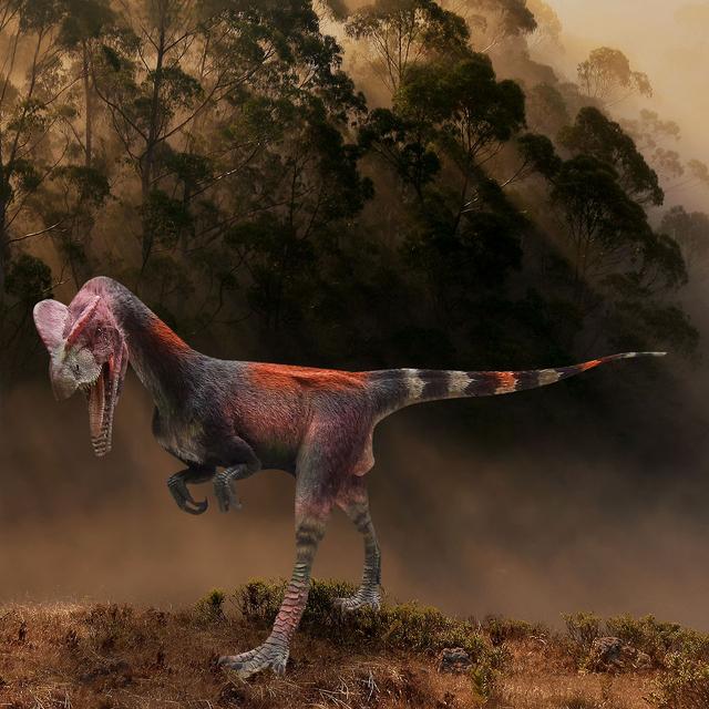 Dilophosaurus wetherilli