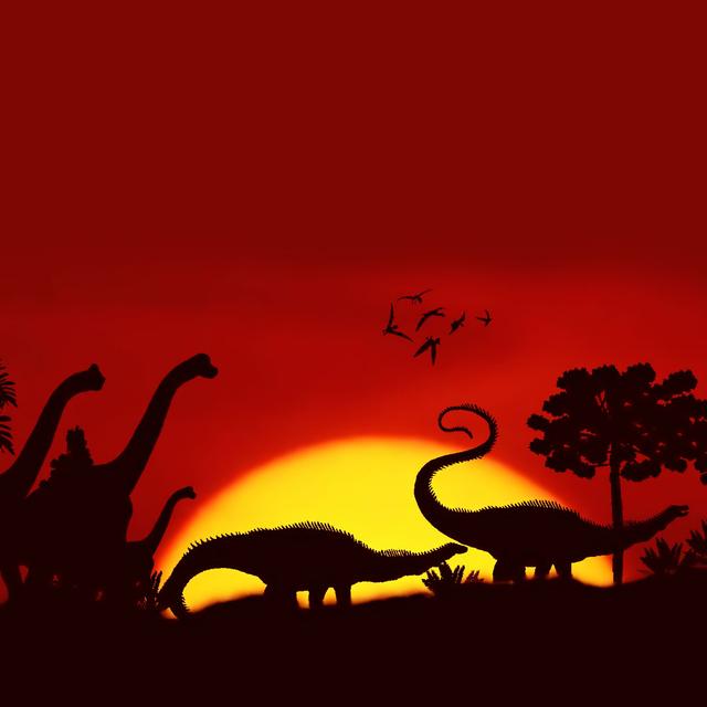 Du temps des dinosaures...