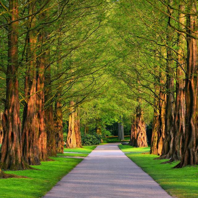 « En peu de temps parfois on fait du chemin » Molière