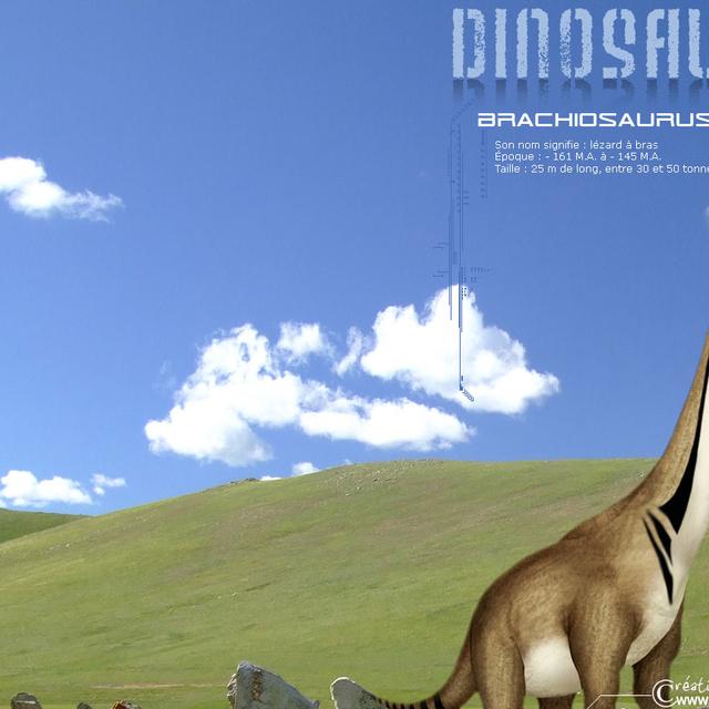 Brachiosaure
