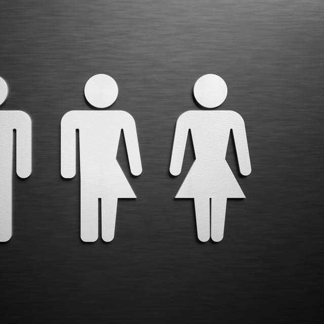 Symboles des toilettes pour masculin, féminin et un troisième sexe. © Vchalup, Adobe Stock