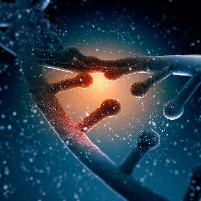 La séparation de l’ADN prenait jusqu’à présent plusieurs heures. Avec cette innovation, elle pourrait se faire en seulement 10 mn. © Sergey Nivens, Shutterstock