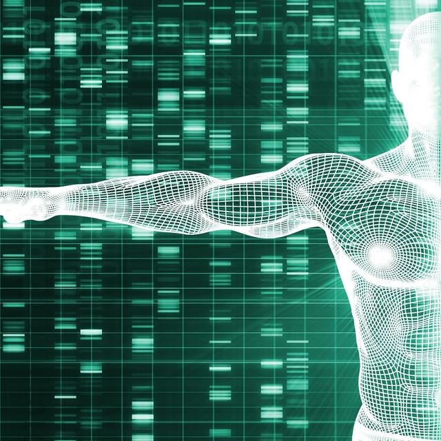 Le génome humain de synthèse est–il pour bientôt ? © kentoh, Shutterstock