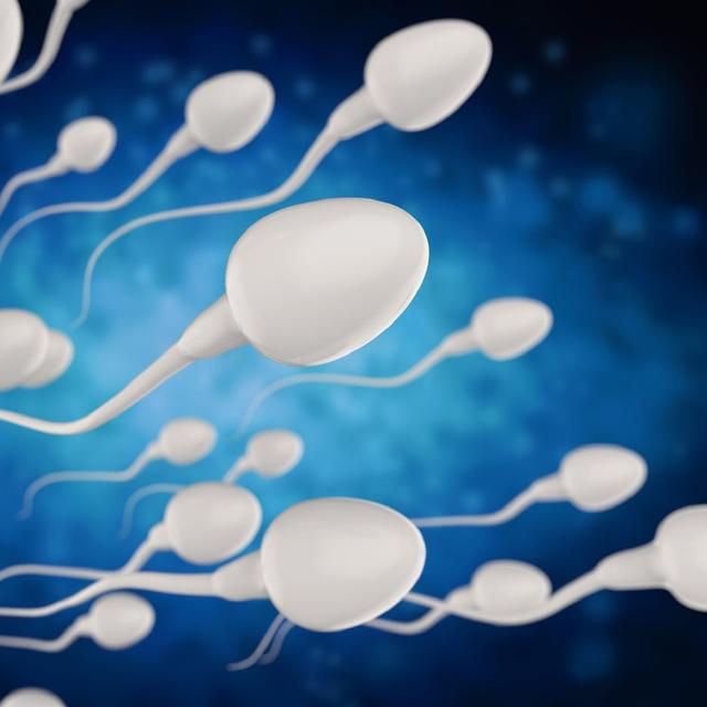 La nage des spermatozoïdes vient tout juste d&#39;être comprise. © phonlamaiphoto, Fotolia