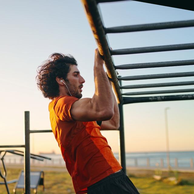 Muscle Gd Rond Définition | Muscle grand rond : qu'est-ce que c'est ? | Futura santé