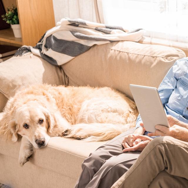 Passer du temps devant son ordinateur, sa tablette ou son téléphone pourrait aider à préserver nos facultés mentales sur le long terme. © Seventyfour, Adobe Stock