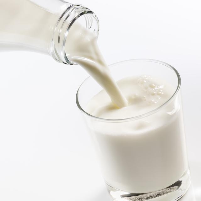 Le lait de vache, un lait animal, reste la nourriture exclusivement des nourrissons. © winston, Fotolia