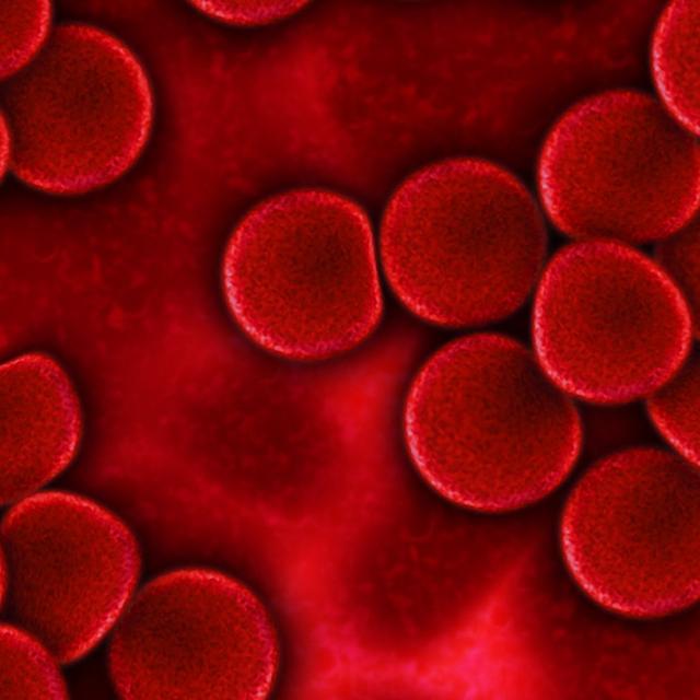 Les globules rouges constituent la plus grande part des quelque 30.000 milliards de cellules qui constituent le corps humain. © geralt, Pixabay, DP