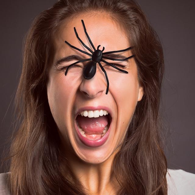 En matière de peur des araignées ou arachnophobie, les thérapies cognitivo-comportementales donnent de bons résultats. © lassedesignen, Fotolia