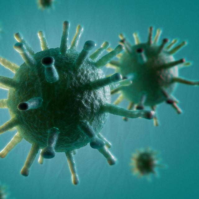 Quelle différence y a-t-il entre microbe, virus et bactérie ? Ici, des virus. Comme le virus ne métabolise rien et ne réagit pas à son milieu, pour certains chercheurs, il n’est pas vraiment vivant ! © Anatomy Insider, Shutterstock