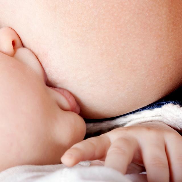 Le lait maternel contient des molécules aux vertus anti-inflammatoires capables de combattre une infection et d’aider la cicatrisation. © shutterstock.com