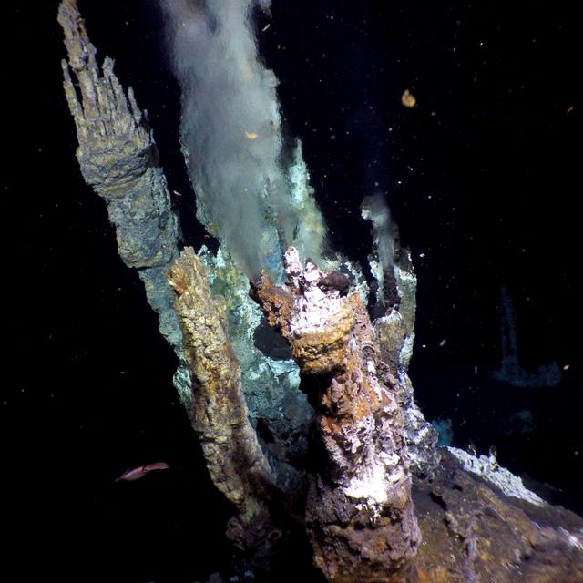 Cheminée hydrothermale du champ hydrothermal de Jan Mayen. © Thibaut Barreyre (imaggeo.egu.eu)
