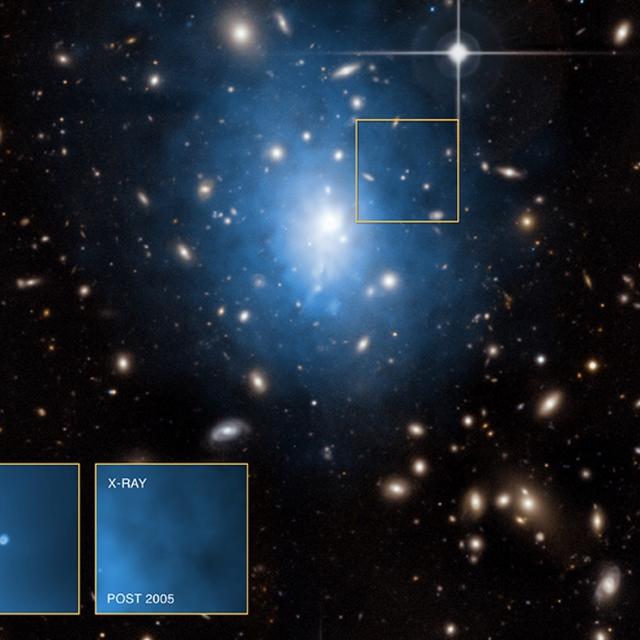 Une image composite de l&#39;amas de galaxies Abell 1795 montre en bleu ses émissions de rayons X vues par Chandra et surimposées à celles dans le visible observées par le télescope Canada-France-Hawaï. En bas à gauche, les observations de Chandra montrent une galaxie naine dans laquelle une source brillante de rayons X est bien visible avant 2005, mais cesse de l&#39;être après. Il s&#39;agirait des émissions du disque d&#39;accrétion d&#39;un trou noir intermédiaire ayant disloqué une étoile et avalant son gaz. © Pour les images en rayons X : Nasa, CXC, University of Alabama, W. P. Maksym et al., CXC, GSFC, UMD, D. Donato et al. ; pour les images d’Abell 1795 dans le visible : CFHT