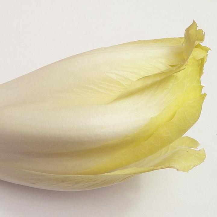 Définition | Endive : qu'est-ce que c'est ? | Futura planète