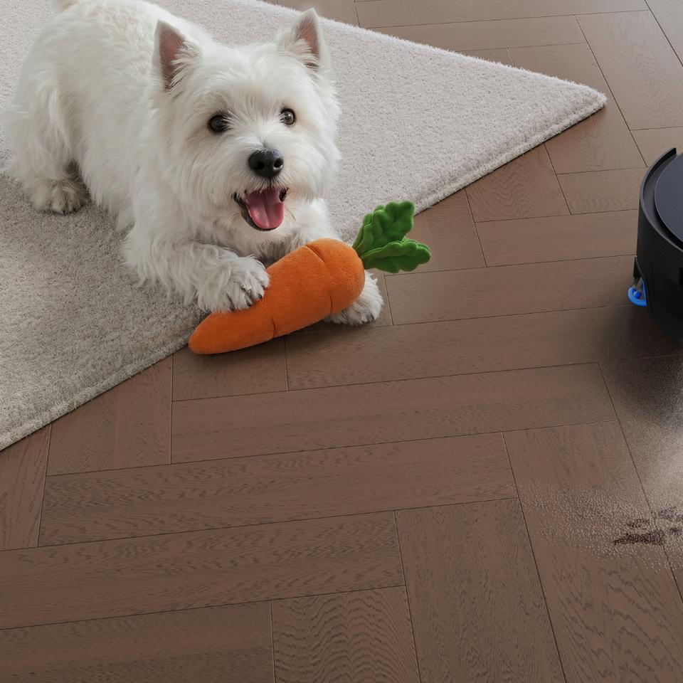 CES 2026 : voici les innovations qui vont rendre votre quotidien… plus cool