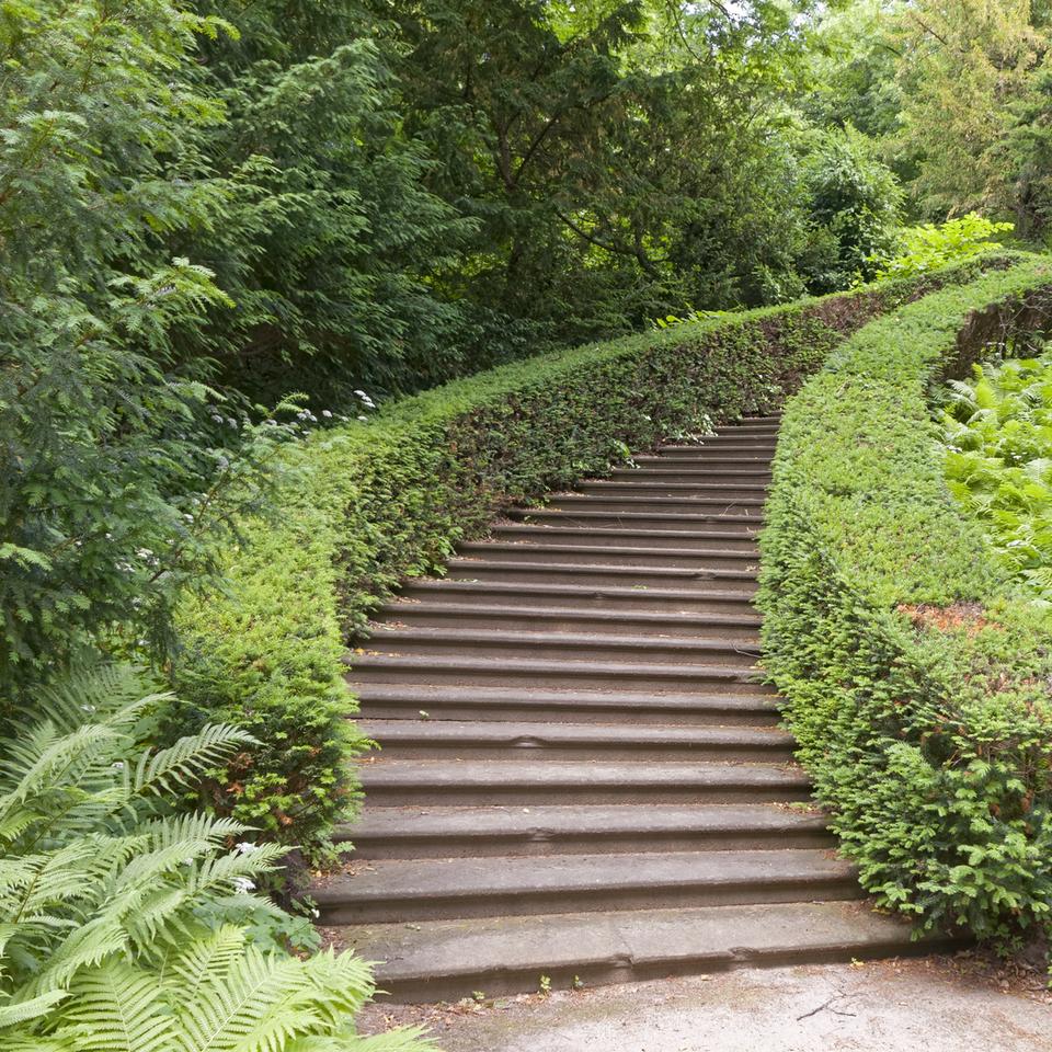 Escalier extérieur quel revêtement choisir — free download