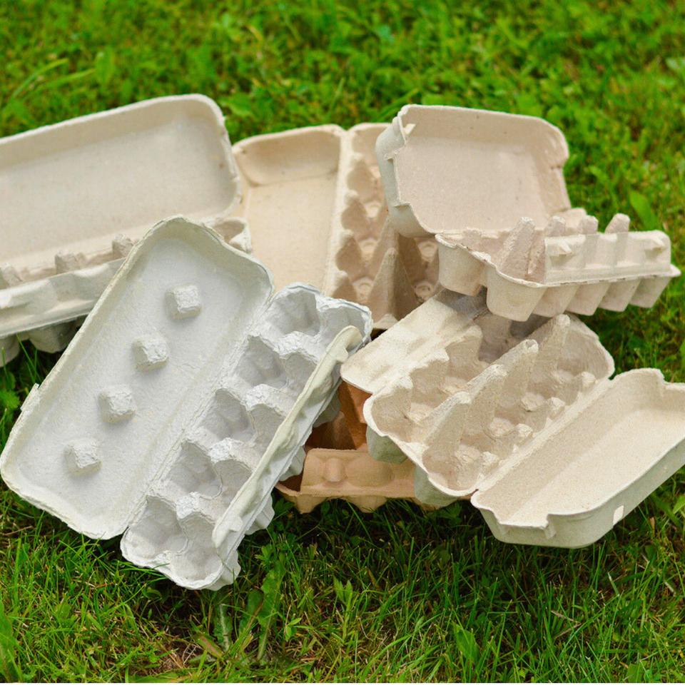 Lot de 20 boîtes à œufs en carton vierges en pâte à papier Lot de 20 boîtes à œufs en carton vierges en pâte à papier