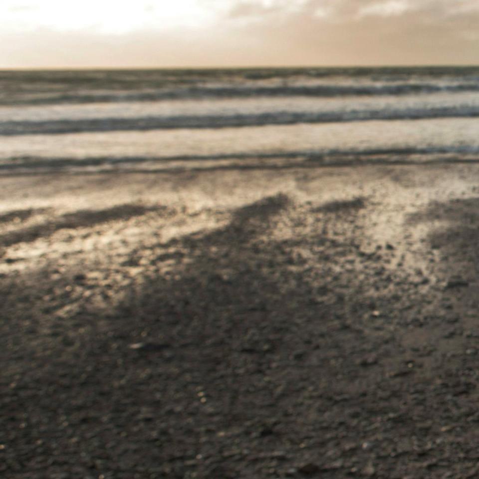 En étudiant les changements d’habitat du papillon damier d’Édith, la biologiste Camille Parmesan a été la première à démontrer l’impact certain du changement climatique sur la faune sauvage. © Lloyd Russell