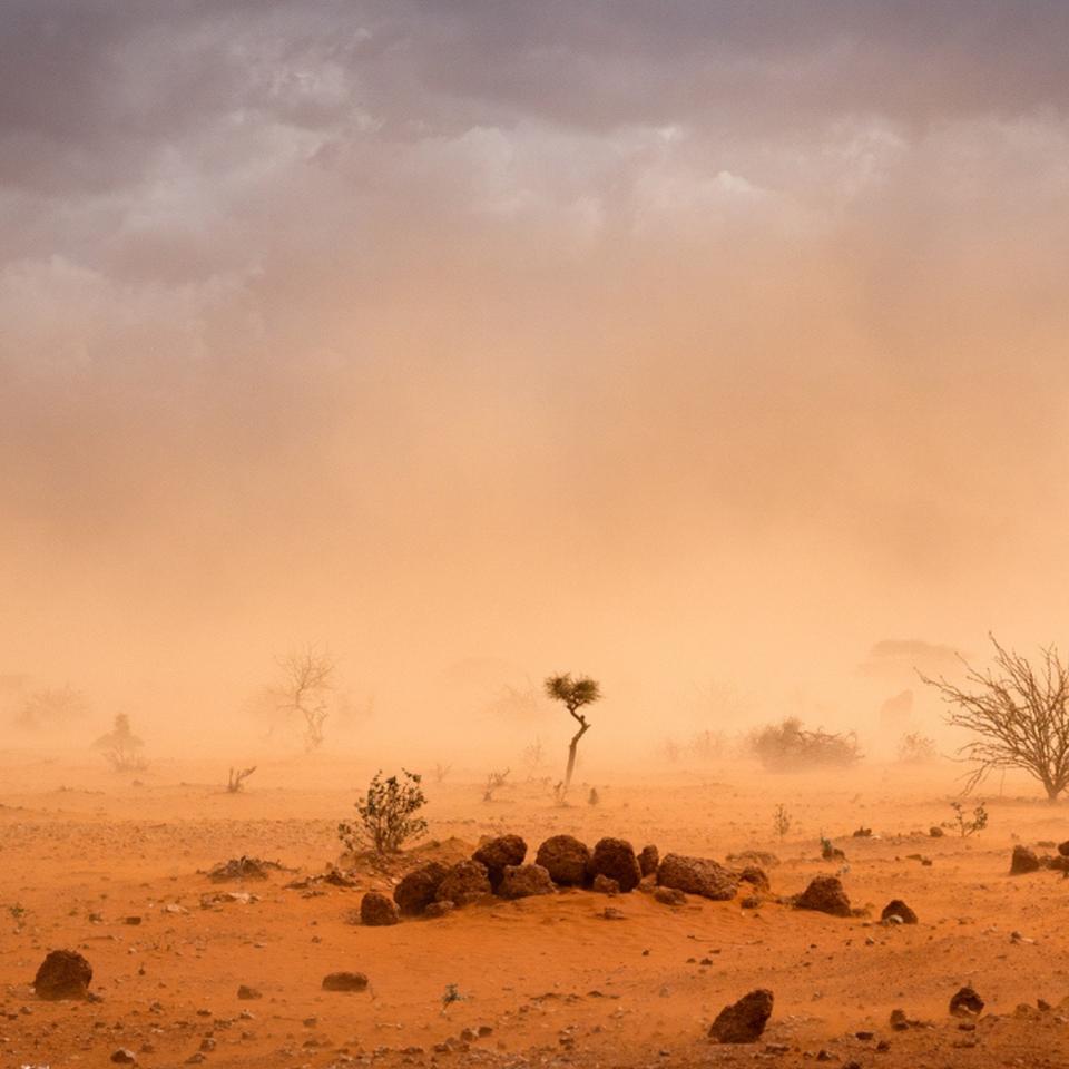 L'Afrique sombre sous le poids des catastrophes climatiques. © Jo Raphael, iStock