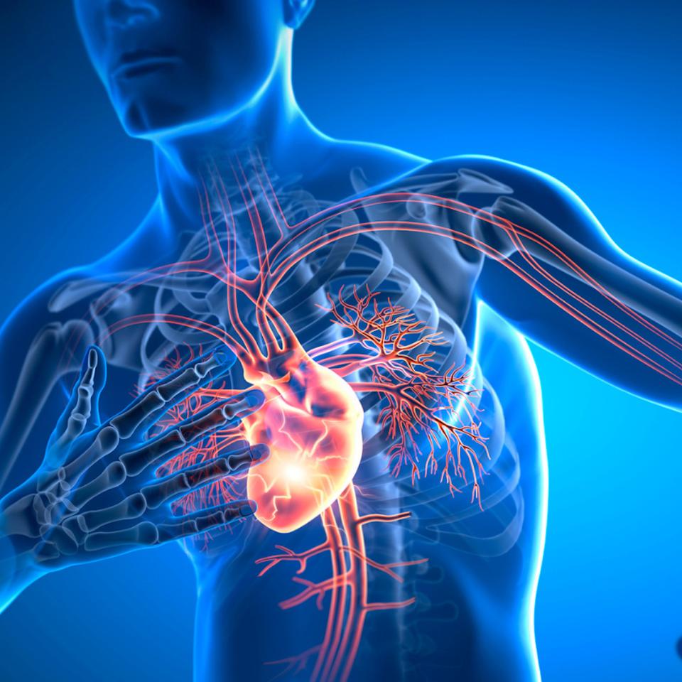 Le cœur et les vaisseaux sanguins&nbsp;peuvent&nbsp;pâtir d'une consommation forte d'ibuprofène ou de diclofénac sur une longue période. Il faut donc bien se renseigner sur l'utilisation de ces médicaments.&nbsp;© peterschreiber.media, iStock