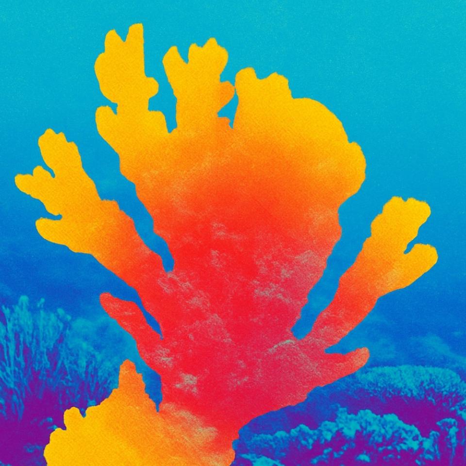 Ce que les scientifiques viennent de découvrir sur le rôle caché des coraux dans le climat change la perspective. © XD avec ChatGPT