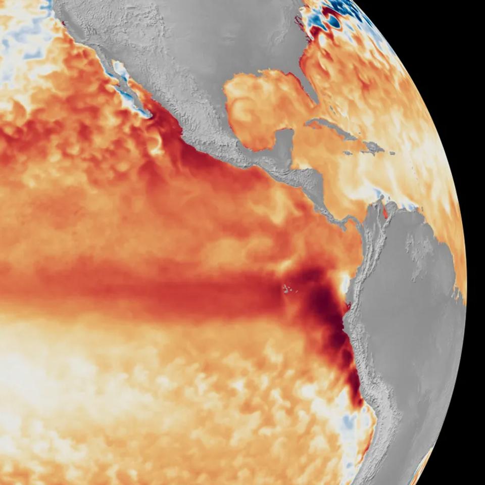 L'une des plus récentes images satellites montrant la zone d'El Niño et ses températures anormalement élevées en juin 2026. © NOAA