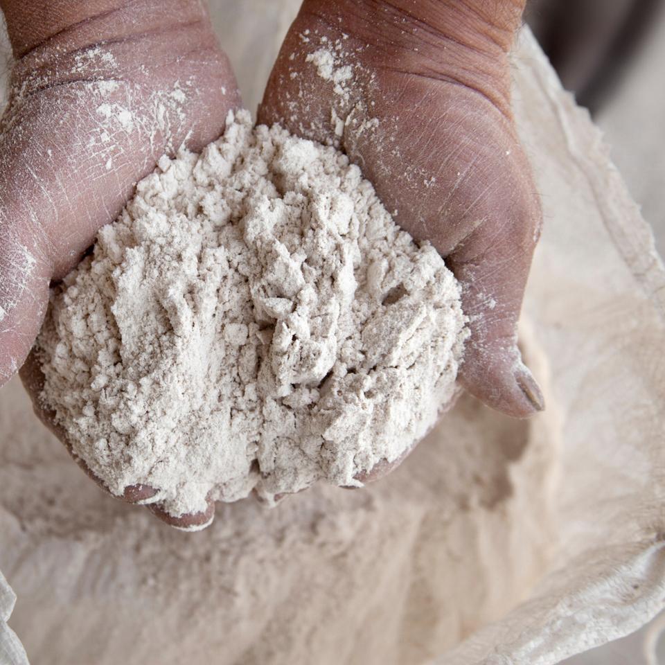 Cette farine révolutionnaire contient plus de protéines que la viande et pourrait changer notre alimentation. © Barcin,&nbsp;iStock