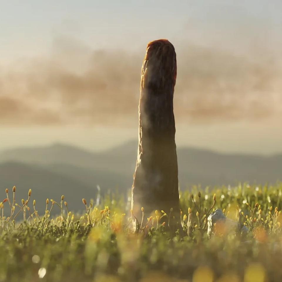 Ils ressemblaient à des troncs, mais n’étaient ni des arbres ni des champignons...&nbsp;alors qu’étaient-ils vraiment ? ©&nbsp;Matt Humpage, Northern Rogue Studios