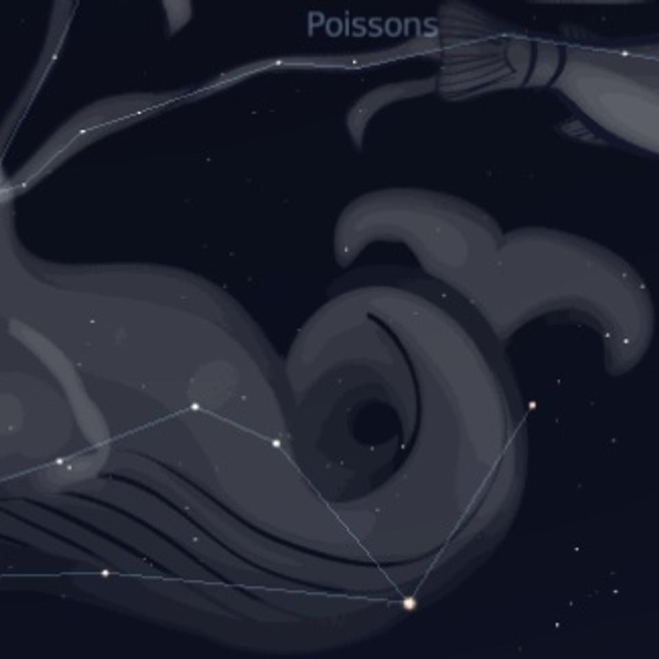 Définition Constellation de la Baleine qu'estce que c'est — free download
