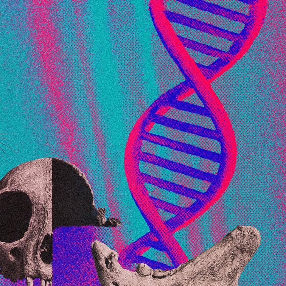 La domestication du&nbsp;chat domestique moderne, descendant direct des chats sauvages d’Afrique du Nord, aurait réellement débuté il y a seulement 2 000 ans. © XD avec ChatGPT