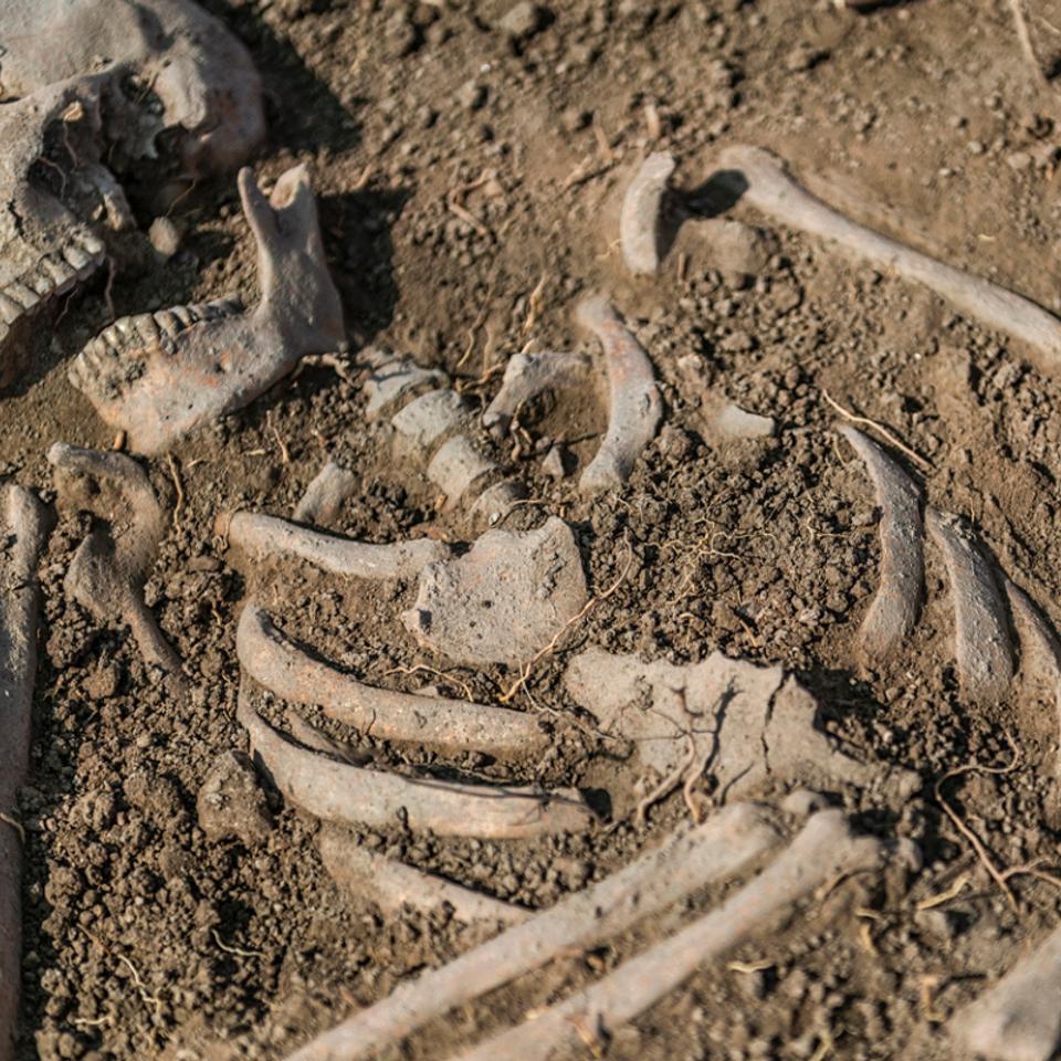 Des chercheurs en savent désormais plus sur ces massacres qui ont fait des milliers de victimes en Alsace. © Microgen, iStock&nbsp;