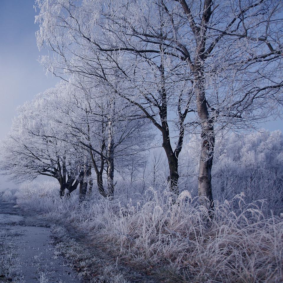 Plan Panoramique Beaux Paysages Montagnes Enneigées Pour Arrière Plan —  Photo de stock par ©zoltanmajor - 277911804, image size:960x960