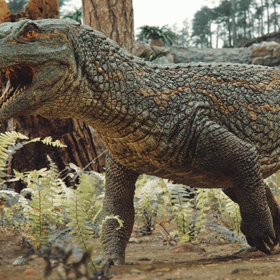 Tainrakuasuchus bellator, une nouvelle espèce de Pseudosuchia (ancêtre des crocodiles) ayant vécu avant l'apparition des premiers dinosaures il y a 240 millions d'années. © Caio Fantini