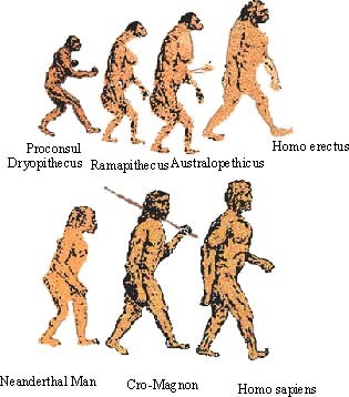 www.futura-sciences.com
