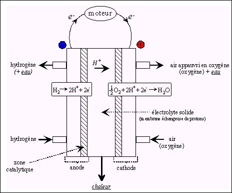 Boîte De Cellules Chimiques 100 Ml Pour Réacteur MFC / Pile à Combustible Microbienne - Neuf