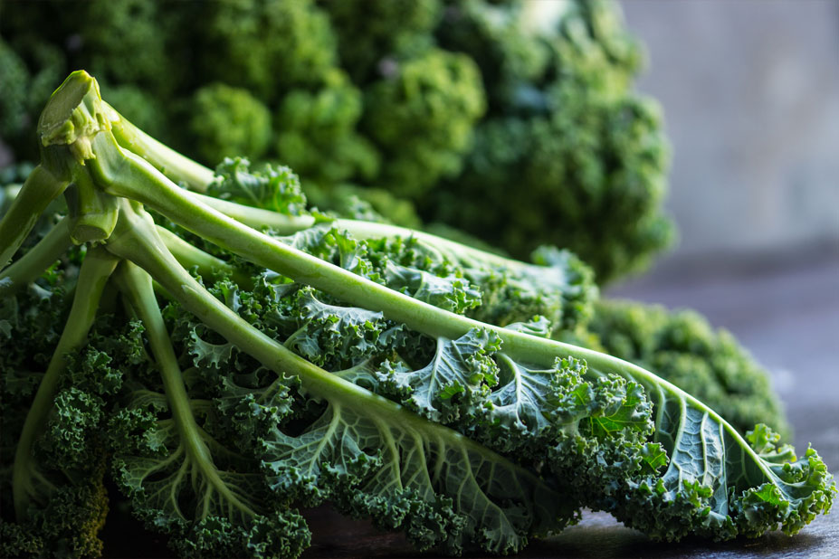 Graines De Chou Kale - Variété Frisée Verte Riche En Nutriments - Batlle