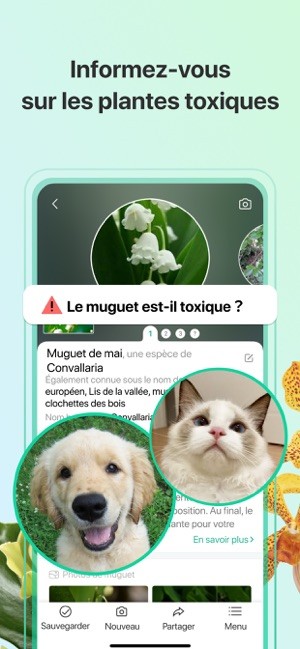 Dfinition | PictureThis Plante Identifier : qu'est-ce que c'est ? | Futura  tech