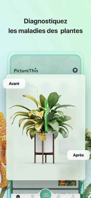 Dfinition | PictureThis Plante Identifier : qu'est-ce que c'est ? | Futura  tech